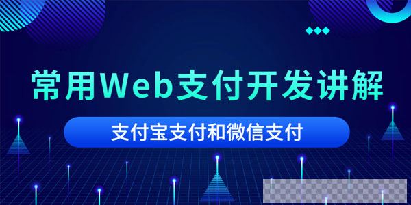 Web支付开发讲解微信支付和支付宝支付开发对接视频[MP4/0.98GB]百度云网盘下载