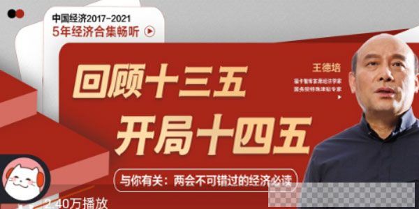 王德培《中国经济5年系列》两会与你相关的经济必读音频[MP3/221MB]百度云网盘下载