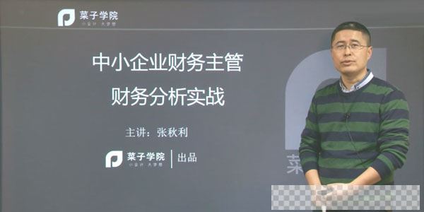 张秋利-中小企业财务主管财务分析实战课程视频[MP4/2.04GB]百度云网盘下载