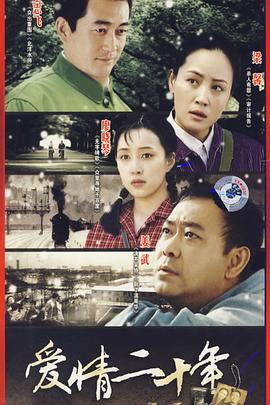 爱情二十年(2007)