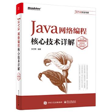 Java网络编程核心技术详解