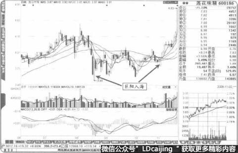 “巨阳入海”往往是“黑马”诞生的标志