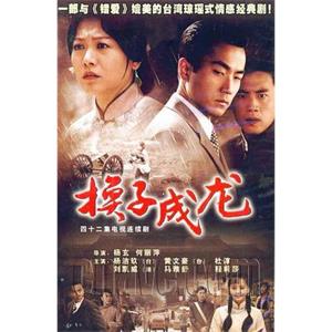 换子成龙(2006)